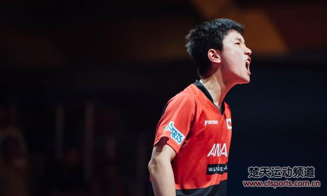 14岁61天!张本智和捷克胜波尔 成最年轻公开赛